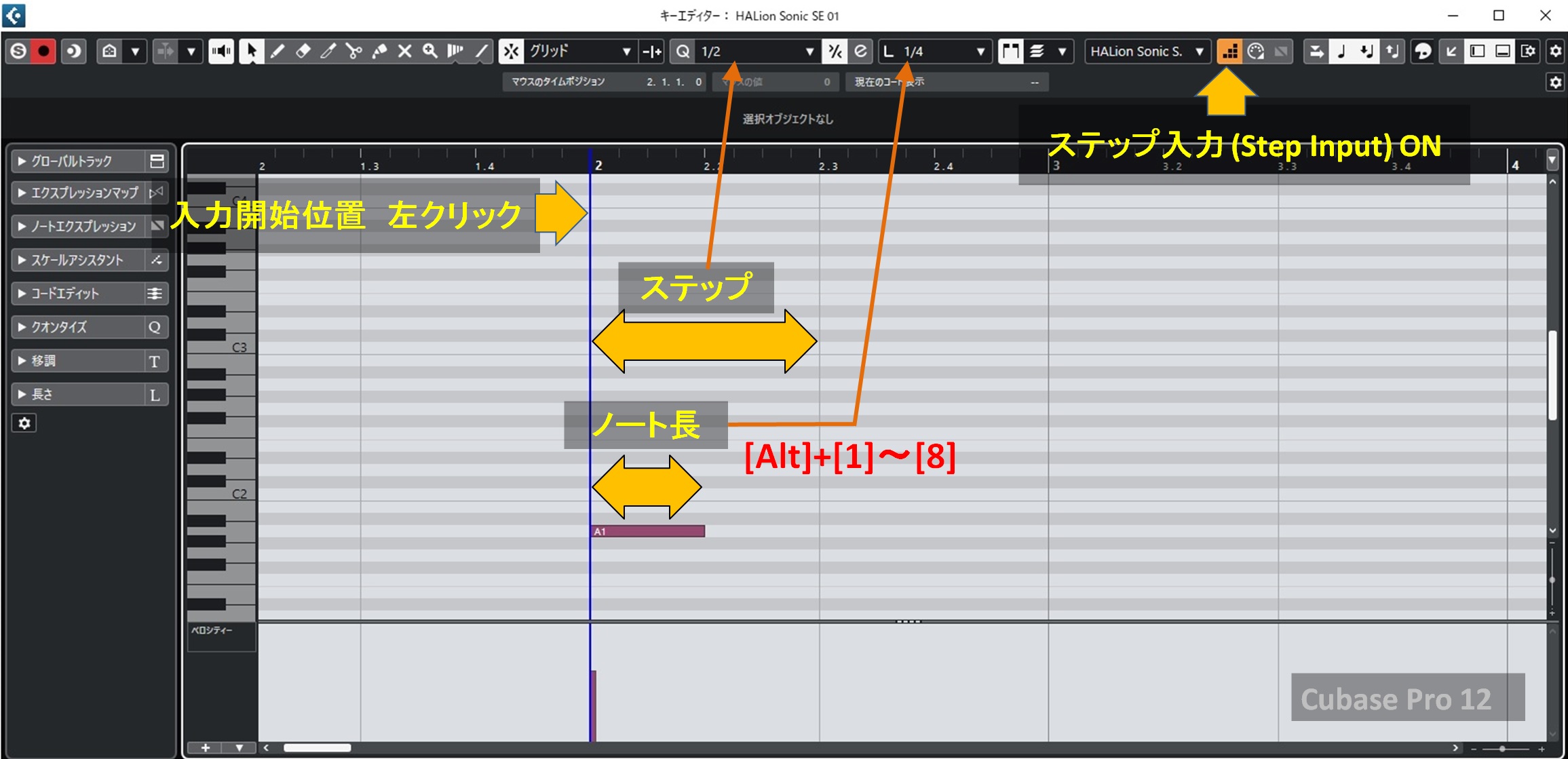 MIDI Step Input